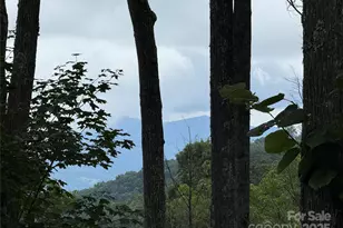 528 Andrew Banks Rd, Burnsville, NC 28714 - Photo 31