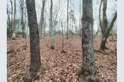 0 Birddog Boulevard #328, Lake Lure, NC 28746 - Photo 19