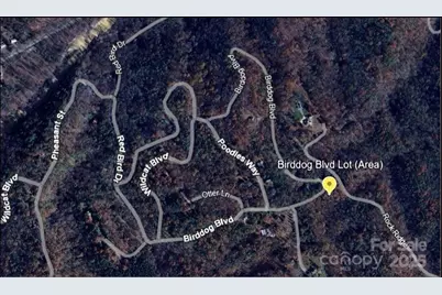 0 Birddog Boulevard #328, Lake Lure, NC 28746 - Photo 13