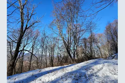 00 Marney's Vista Road, Waynesville, NC 28786 - Photo 1