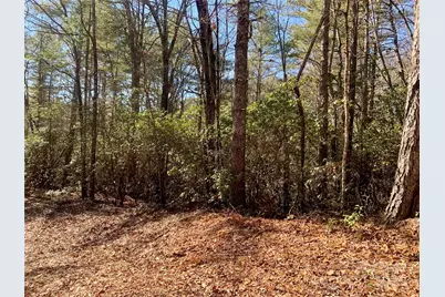 Lot 18 Oak Ridge Drive #18, Brevard, NC 28712 - Photo 3
