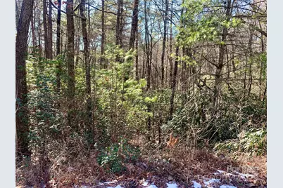 Lot 18 Oak Ridge Drive #18, Brevard, NC 28712 - Photo 7