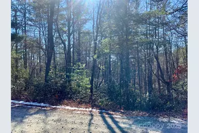 Lot 18 Oak Ridge Drive #18, Brevard, NC 28712 - Photo 9