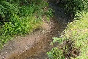 440 Island Ford Rd, Brevard, NC 28712 - Photo 39