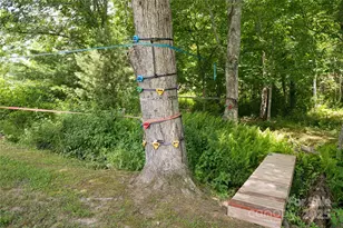 440 Island Ford Rd, Brevard, NC 28712 - Photo 29