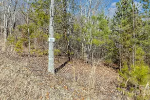 Tbd Coal Pit Mountain Rd, Nebo, NC 28761 - Photo 1