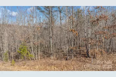 Tbd Coal Pit Mountain Road, Nebo, NC 28761 - Photo 13