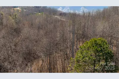 Tbd Coal Pit Mountain Road, Nebo, NC 28761 - Photo 5