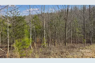 Tbd Coal Pit Mountain Road, Nebo, NC 28761 - Photo 17