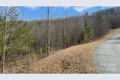 Tbd Coal Pit Mountain Road, Nebo, NC 28761 - Photo 19
