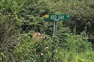 00 Red Oak Ln N, Burnsville, NC 28714 - Photo 1