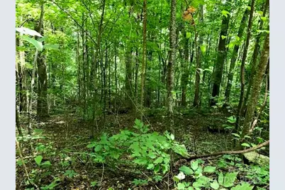 00 Red Oak Lane N Lot #24, Burnsville, NC 28714 - Photo 3