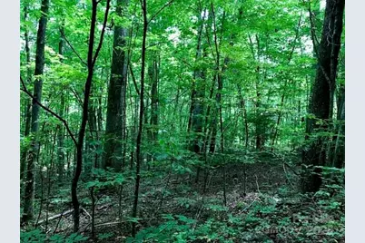 00 Red Oak Lane N Lot #24, Burnsville, NC 28714 - Photo 7