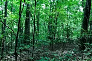 00 Red Oak Ln N, Burnsville, NC 28714 - Photo 7