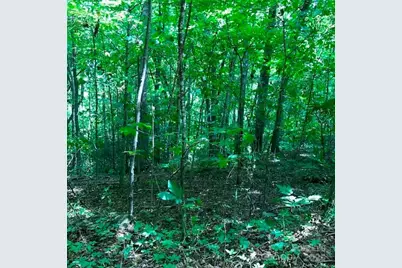 00 Red Oak Lane N Lot #24, Burnsville, NC 28714 - Photo 9