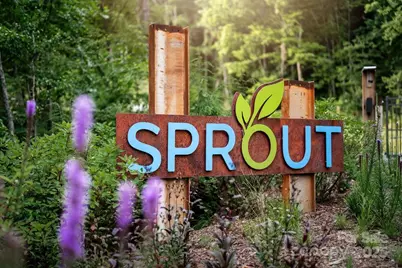 0000 West Garden Trail #Lot 67, Hendersonville, NC 28792 - Photo 5