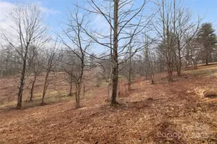 255 & 257 Crescent St, Saluda, NC 28773 - Photo 31