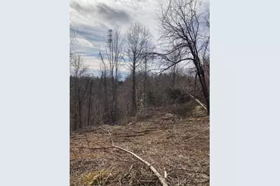 1638 Continental Divide Road #1, Flat Rock, NC 28731 - Photo 5