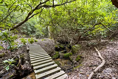 100 Elmridge Drive, Flat Rock, NC 28731 - Photo 47