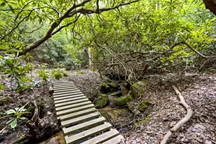 100 Elmridge Dr, Flat Rock, NC 28731 - Photo 47