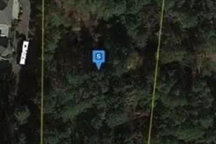 2809 Windswept Cove, York, SC 29745 - Photo 5