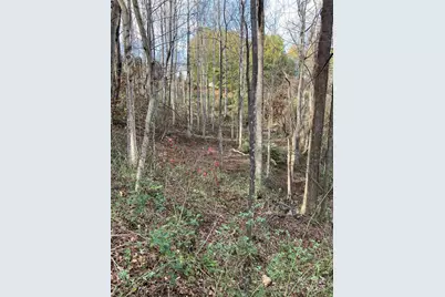 1638 Continental Divide Drive #2, Flat Rock, NC 28731 - Photo 5
