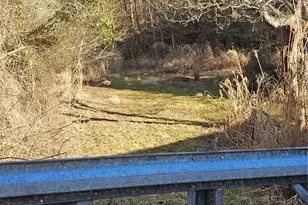 1820 Grapevine Rd, Marshall, NC 28753 - Photo 25