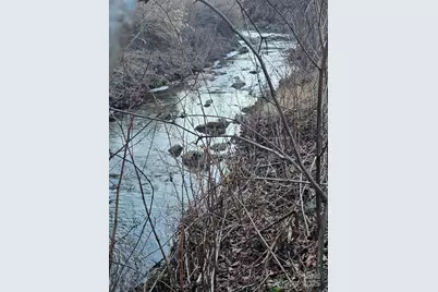 1820 Grapevine Road, Marshall, NC 28753 - Photo 3