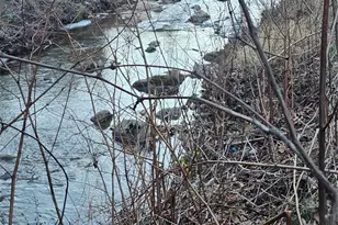 1820 Grapevine Rd, Marshall, NC 28753 - Photo 3