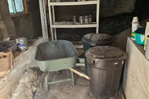 1820 Grapevine Rd, Marshall, NC 28753 - Photo 15