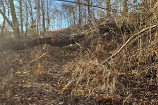 1820 Grapevine Rd, Marshall, NC 28753 - Photo 37