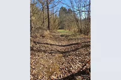 1820 Grapevine Road, Marshall, NC 28753 - Photo 19