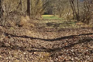 1820 Grapevine Rd, Marshall, NC 28753 - Photo 19