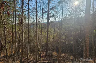 1820 Grapevine Rd, Marshall, NC 28753 - Photo 35