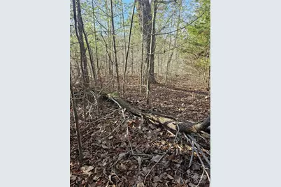 1820 Grapevine Road, Marshall, NC 28753 - Photo 33