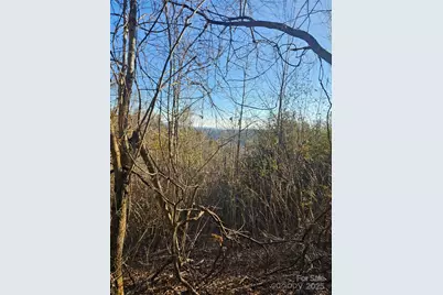 1820 Grapevine Road, Marshall, NC 28753 - Photo 43