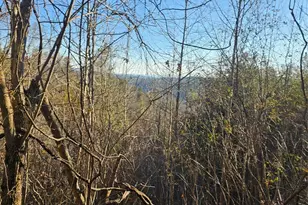 1820 Grapevine Rd, Marshall, NC 28753 - Photo 43