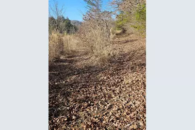 1820 Grapevine Road, Marshall, NC 28753 - Photo 29