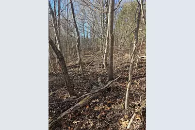 1820 Grapevine Road, Marshall, NC 28753 - Photo 31