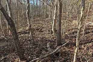 1820 Grapevine Rd, Marshall, NC 28753 - Photo 31