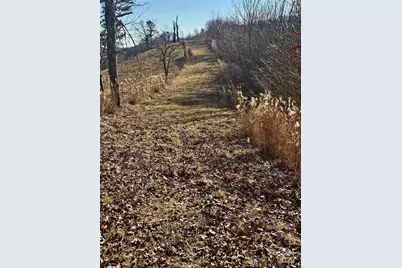 1820 Grapevine Road, Marshall, NC 28753 - Photo 27