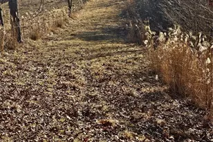 1820 Grapevine Rd, Marshall, NC 28753 - Photo 27