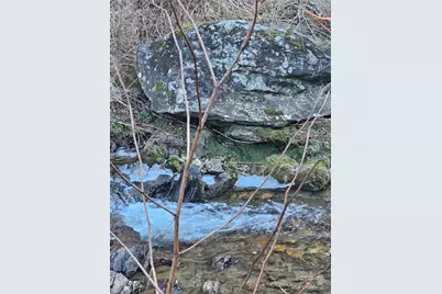 1820 Grapevine Road, Marshall, NC 28753 - Photo 41