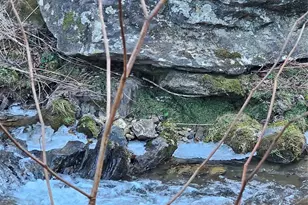 1820 Grapevine Rd, Marshall, NC 28753 - Photo 41