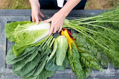 244 Westridge Farm Road #20, Asheville, NC 28804 - Photo 31