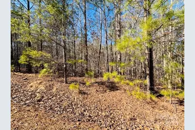 0 Creekside Circle #110, Rutherfordton, NC 28139 - Photo 3