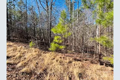 0 Creekside Circle #110, Rutherfordton, NC 28139 - Photo 9