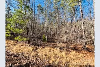 0 Creekside Circle #110, Rutherfordton, NC 28139 - Photo 7