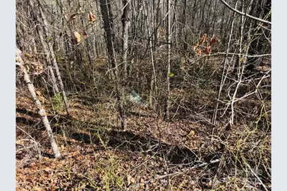 0 Creekside Circle #110, Rutherfordton, NC 28139 - Photo 11