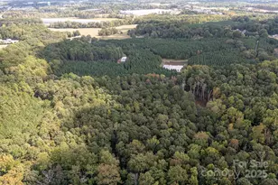 11001 Mount Holly Hntrsvlle Rd, Huntersville, NC 28078 - Photo 5